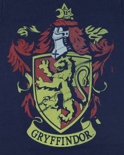 Harry Potter Shirt Boy's Gryffindor Distressed Short Sleeve Tee
