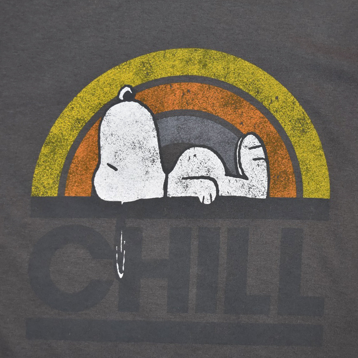 Peanuts T-Shirt Men's Snoopy Chill Big and Tall Graphic Tee