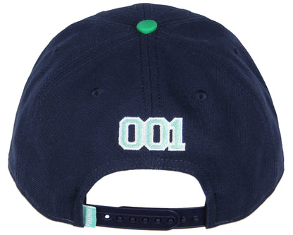 Pokemon Adult Embroidered Precurve Snapback Hat For Men and Women