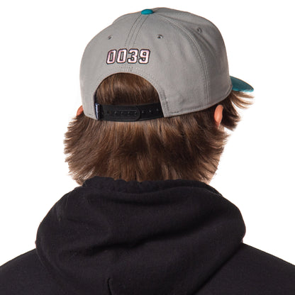 Pokemon Adult Embroidered Precurve Snapback Hat For Men and Women
