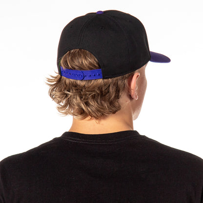 Mens' Teenage Mutant Ninja Turtles Embroidered Snapback Hat