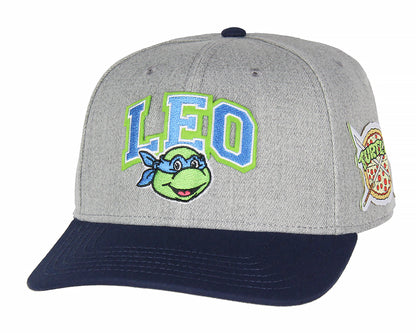 Mens' Teenage Mutant Ninja Turtles Embroidered Snapback Hat