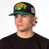 Nickelodeon Mens' Teenage Mutant Ninja Turtles Embroidered Snapback Hat