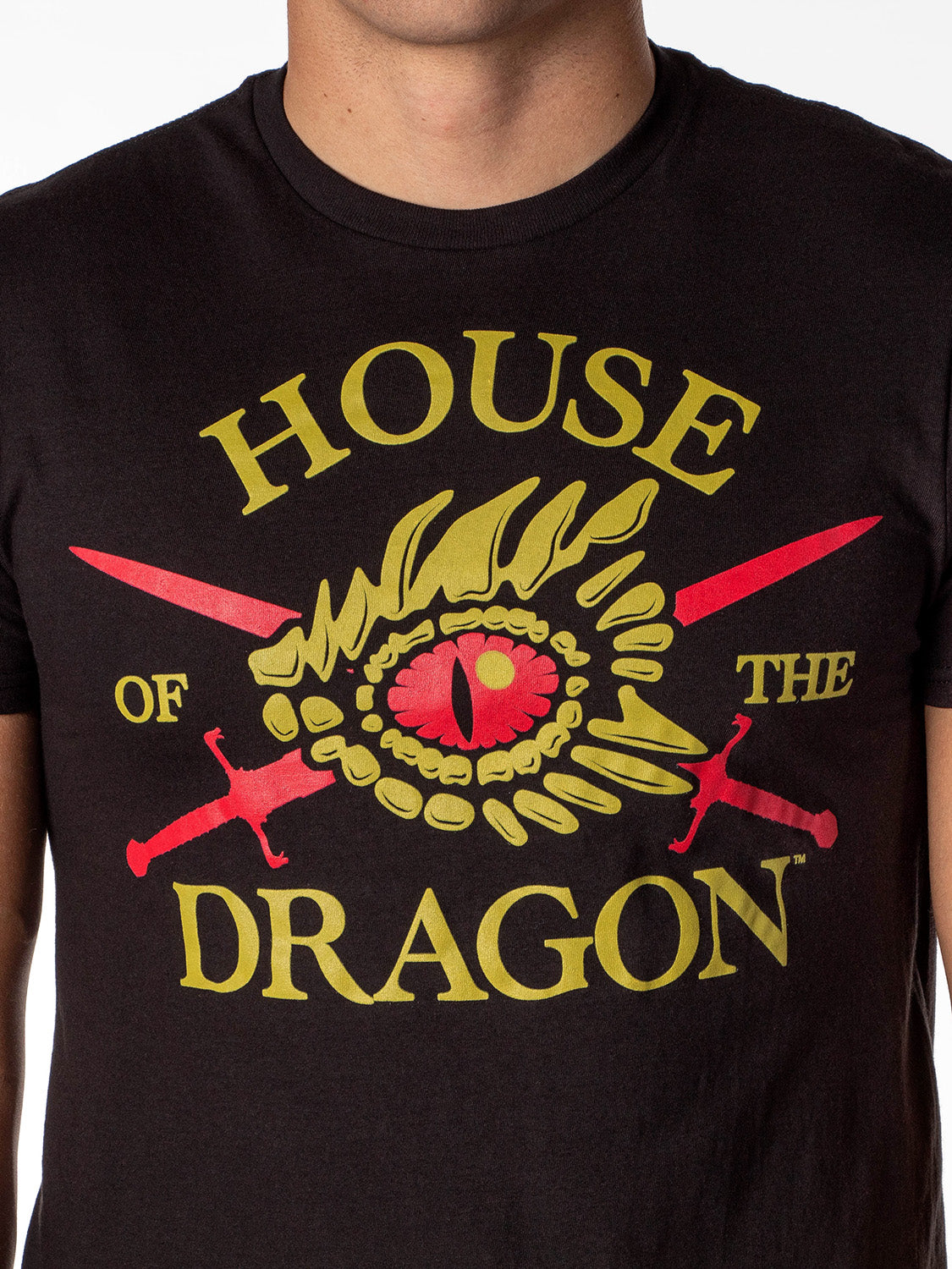 Game of Thrones Mens' House Of The Dragon Sword And Dragon Eye T-Shirt