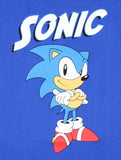 Sonic The Hedgehog Boy's Sonic Folded Arms Stance T-shirt