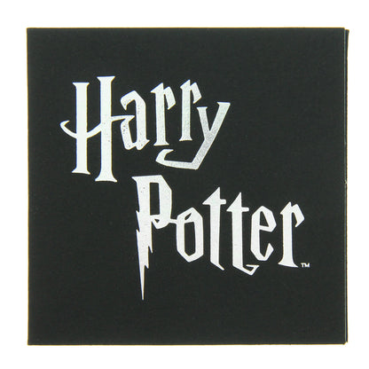 Harry Potter Hedwig Owl With Hogwarts Acceptance Letter Broche Brooch Enamel Pin - Seven Times Six