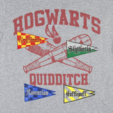 Harry Potter Boys' Hogwarts Quidditch Youth Short Sleeve T-Shirt