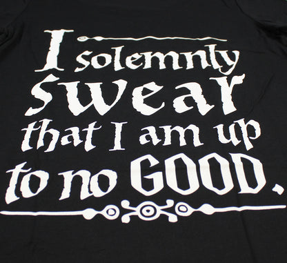 Harry Potter Solemnly Swear Magic Wand Womens T-Shirt