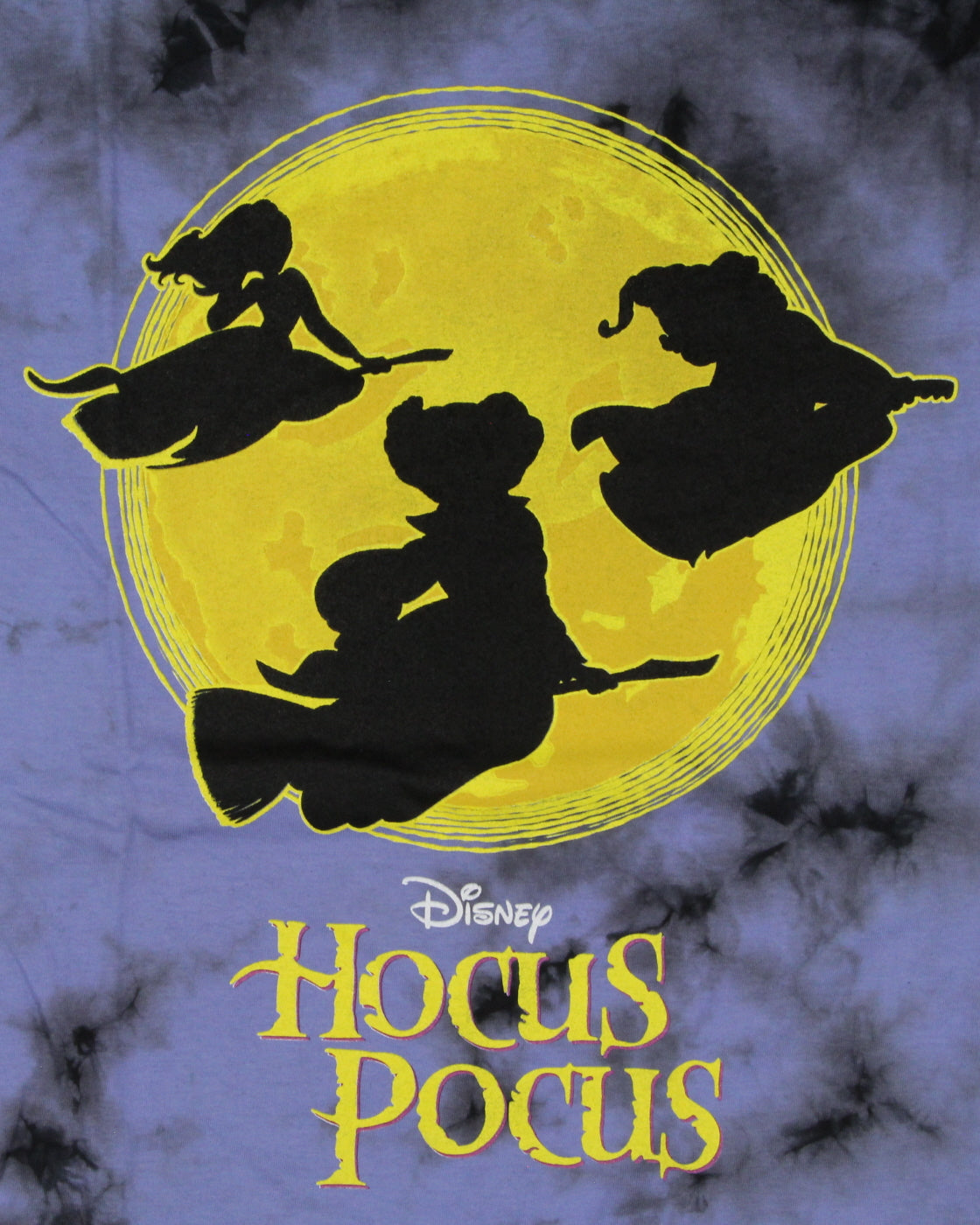 Disney Men's Hocus Pocus Moon Witches Silhouette Graphic Print T-Shirt Adult