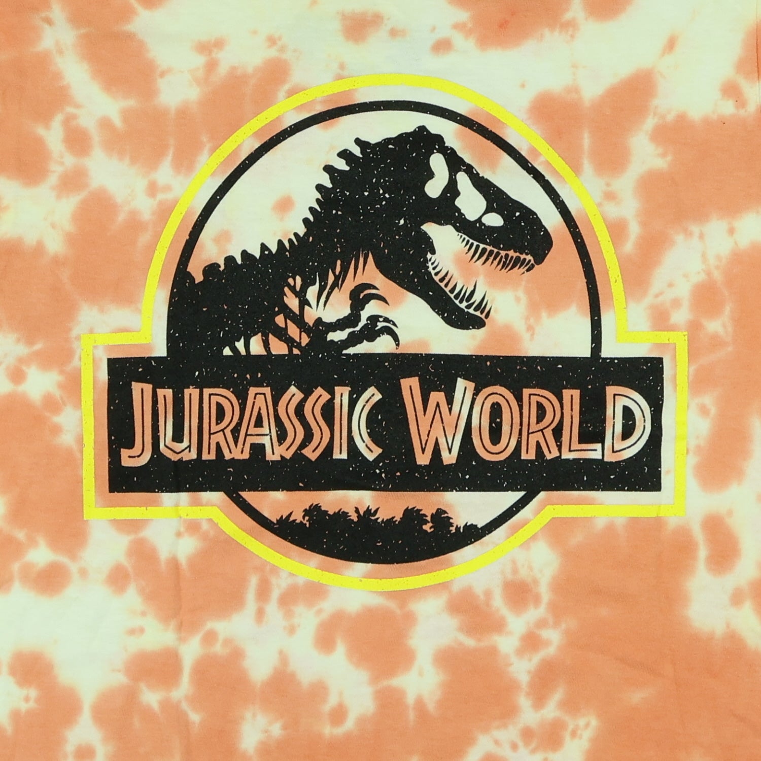 Jurassic World T-Shirt Boys' Tie-Dyed Logo Design Graphic Print Tee