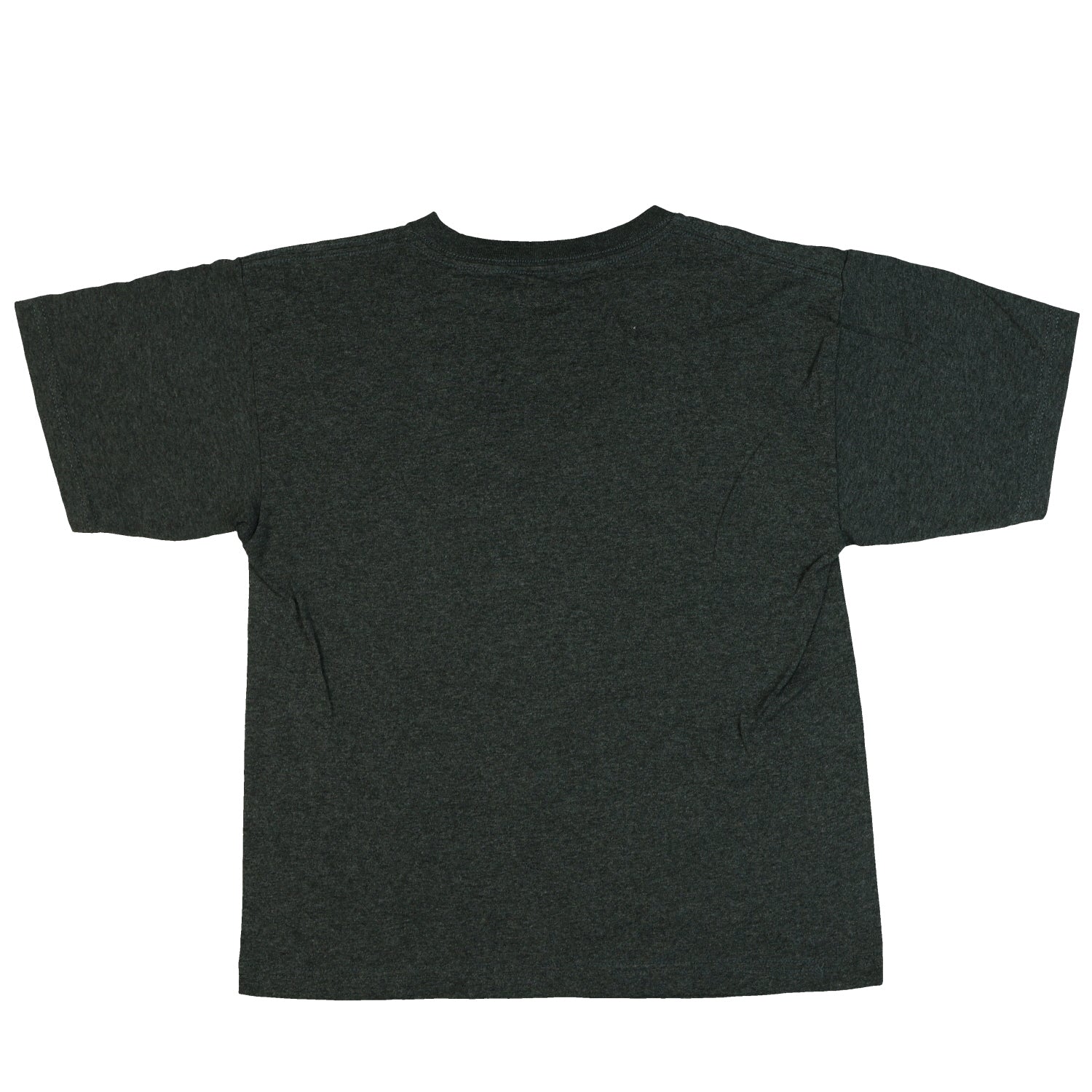 Minecraft Shirt Boy's Nitwit Villager Zombie Duck Short Sleeve Tee