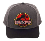 Jurassic Park Hat Classic Logo Curved Snapback Cap