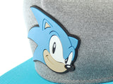 Sonic The Hedgehog Face Snapback Youth Hat