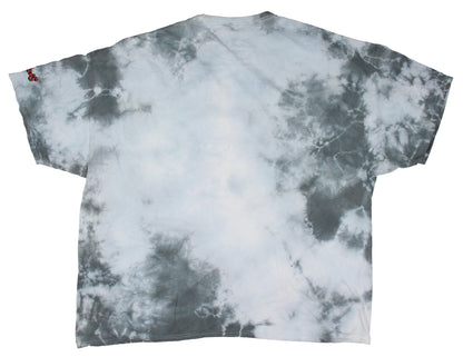 The Simpsons Men's Silly Family Picture Tie-Dye Adult Graphic T-Shirt